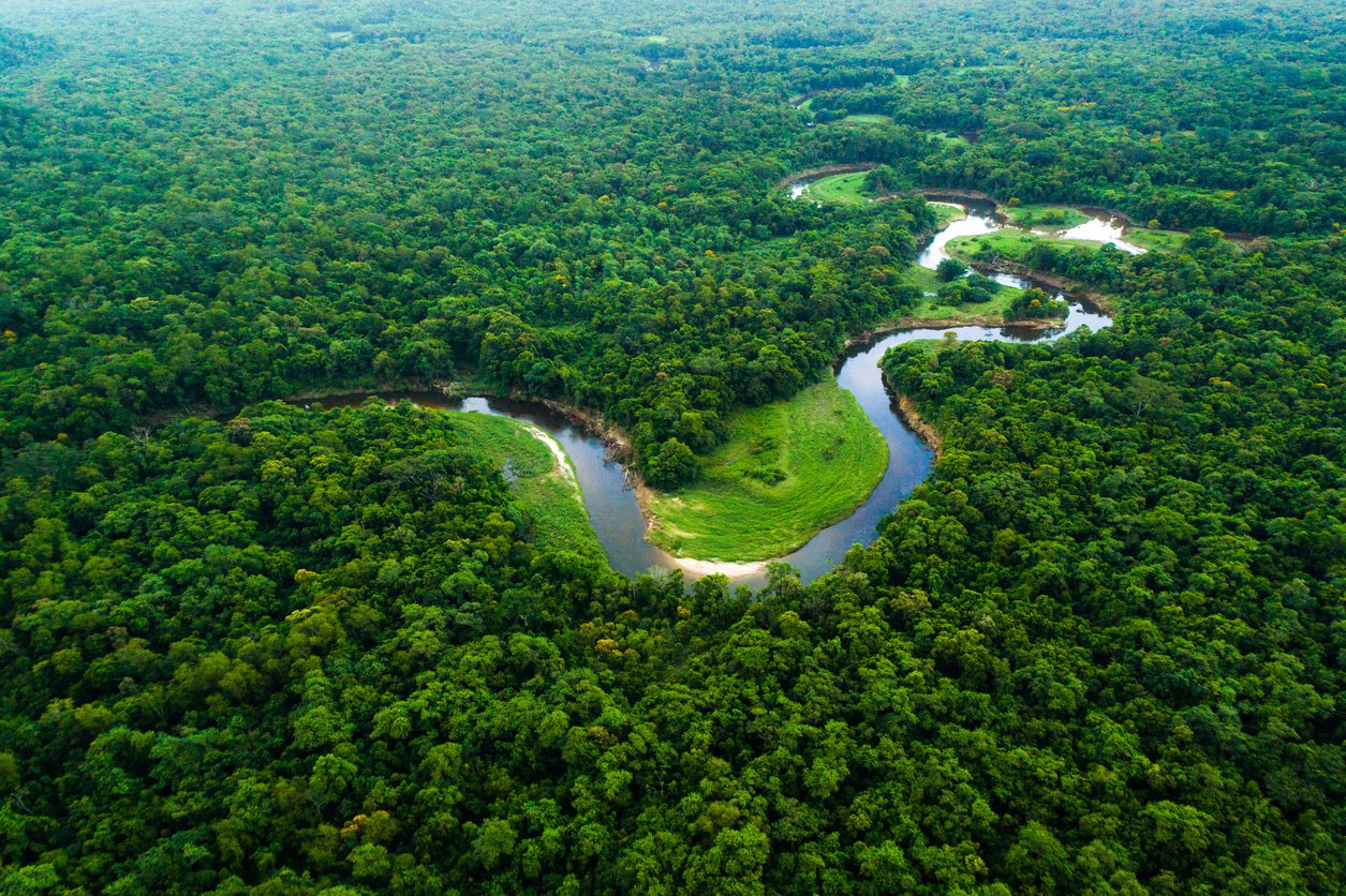 Foto da Amazônia