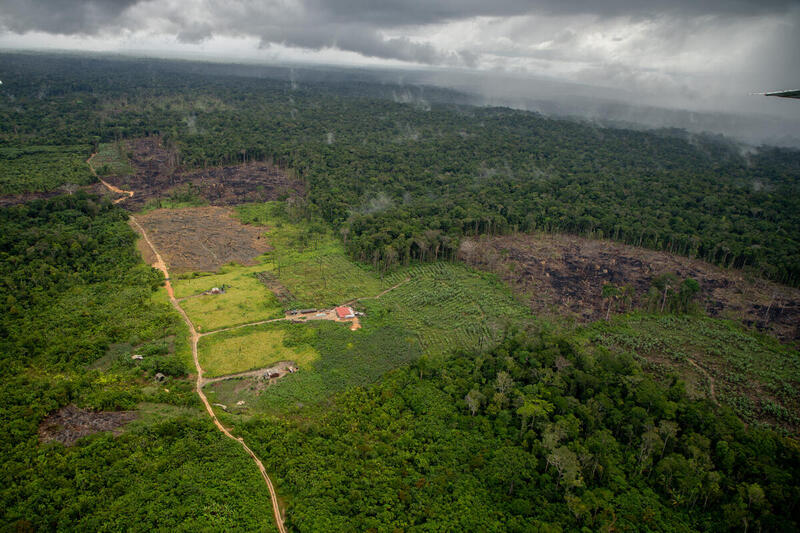 Desmatamento na Amazônia