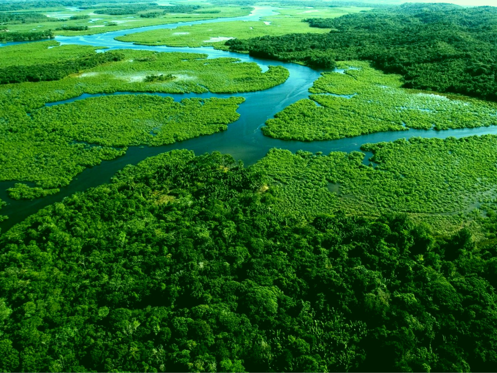 Vista da Mata Atlântica