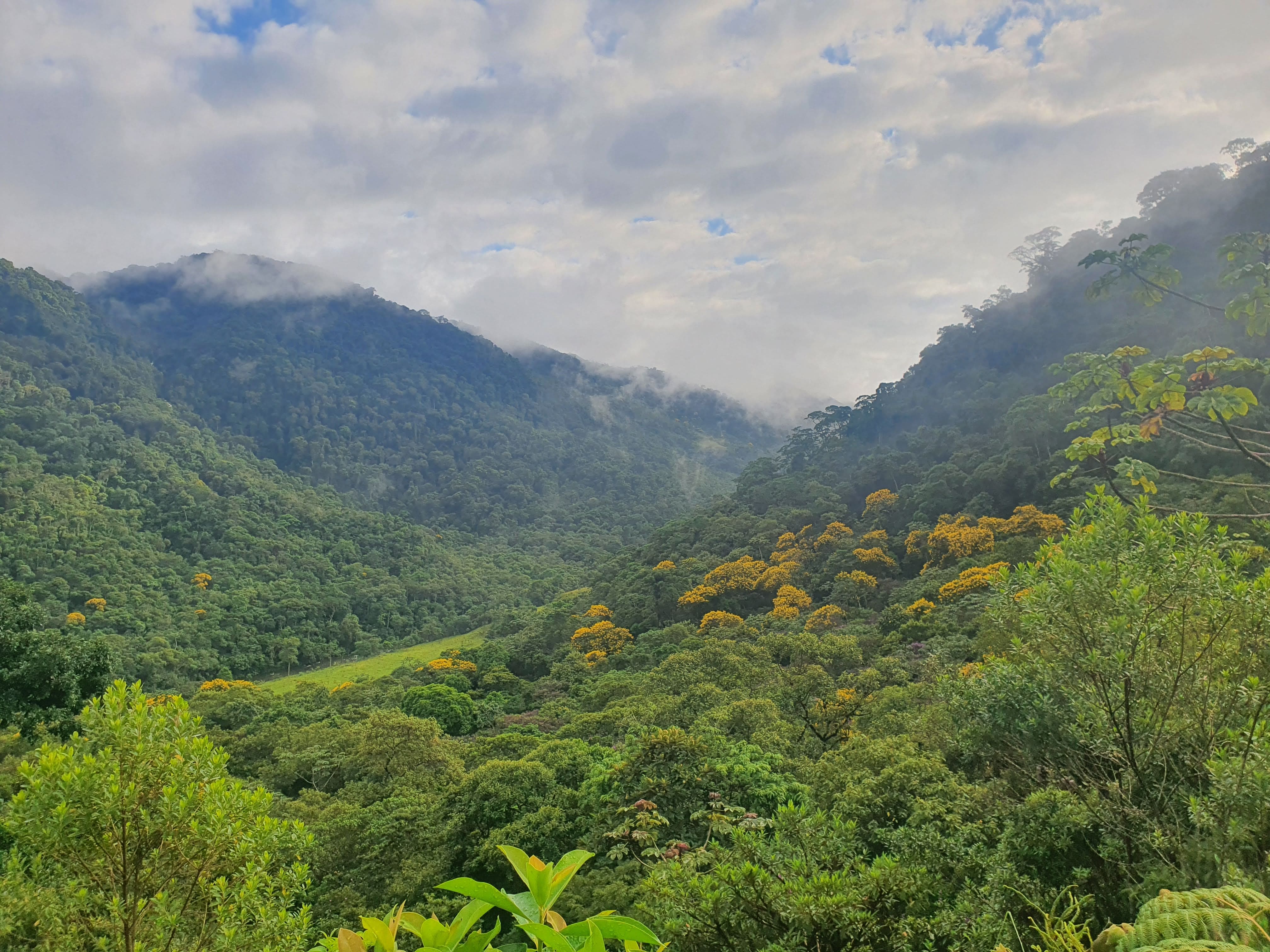 Parque Nacional da Serra da Bocaina
